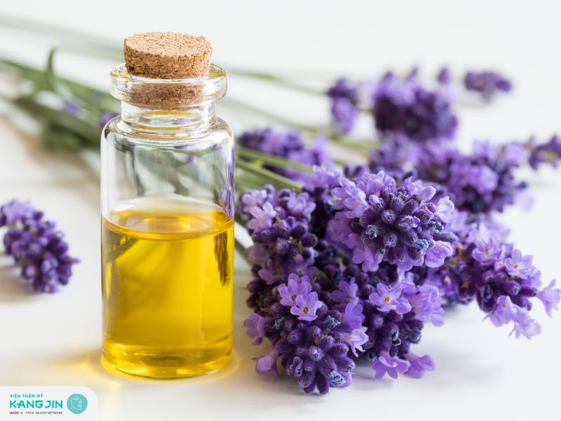 Tinh dầu hoa oải hương giúp chống oxy hóa cho da mụn ẩn đỏ ở trên trán